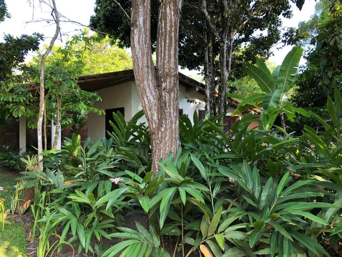 Willa Casa Aracua Trancoso Zewnętrze zdjęcie
